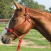 Mustang Easy-On Rope Halter With Lead