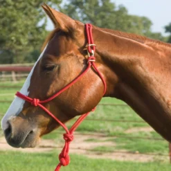 Mustang Easy-On Rope Halter With Lead