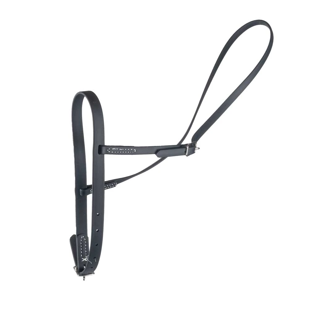 Teskey's Beta Flat Nose Cavison