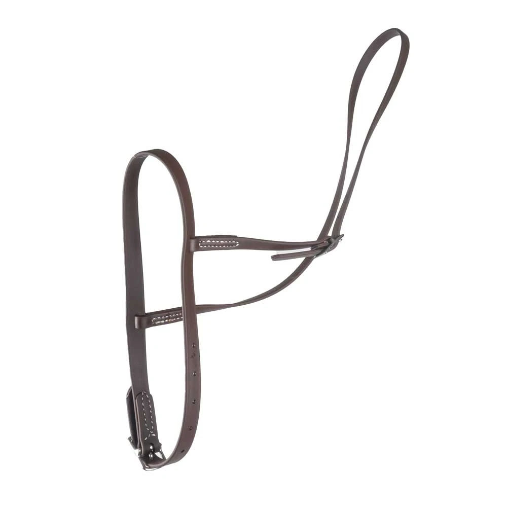 Teskey's Beta Flat Nose Cavison - Image 2