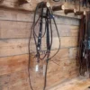 Visalia With Sterling Bridle Rig