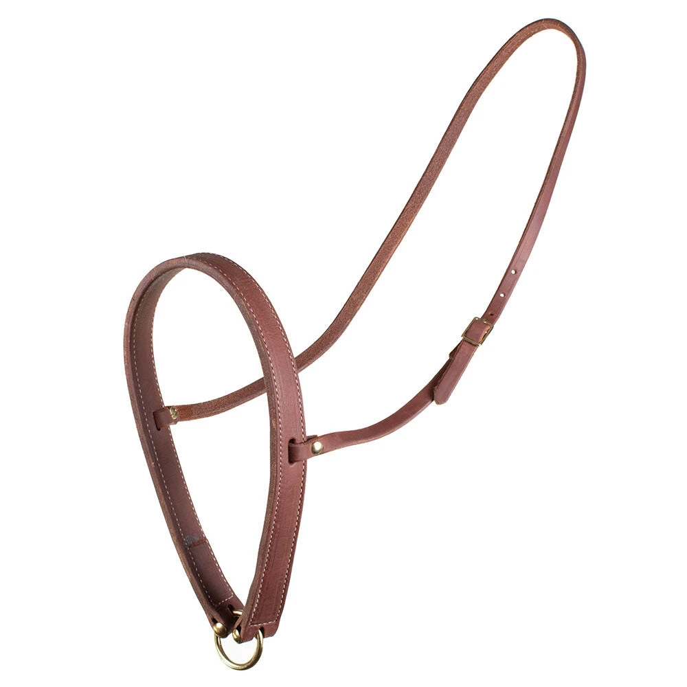 Teskey's Leather Noseband - Image 2