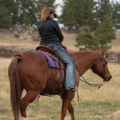 Cashel Blanket Top Performance 34 X 38 Saddle Pad