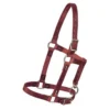 Weaver Leather Weaver Riveted Burgundy Latigo Halter