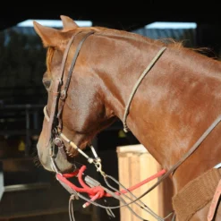 Calf Roping Square Neck Rope