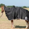 Classic Equine Horse And Saddle Cover
