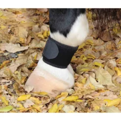 Professional's Choice VenTech Pastern Wrap