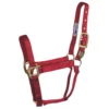 Hamilton 1" Deluxe Nylon Halter - Draft Horse Size