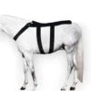 ICEHORSE Back Blanket With 10 Cold Inserts