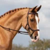 Rambo Micklem Competition Bridle