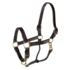 Teskey's 1" Triple Stitched Track Halter