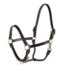 Teskey's 3/4" Track Halter