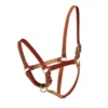 Teskey's Riveted Halter