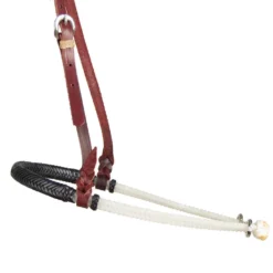 Teskey's Black Braided Rawhide Noseband