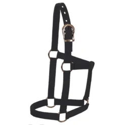 Mustang Foal Economy Halter